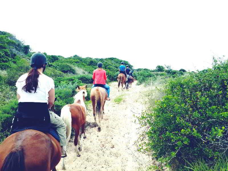 Oyster Bay Lodge Esterno foto