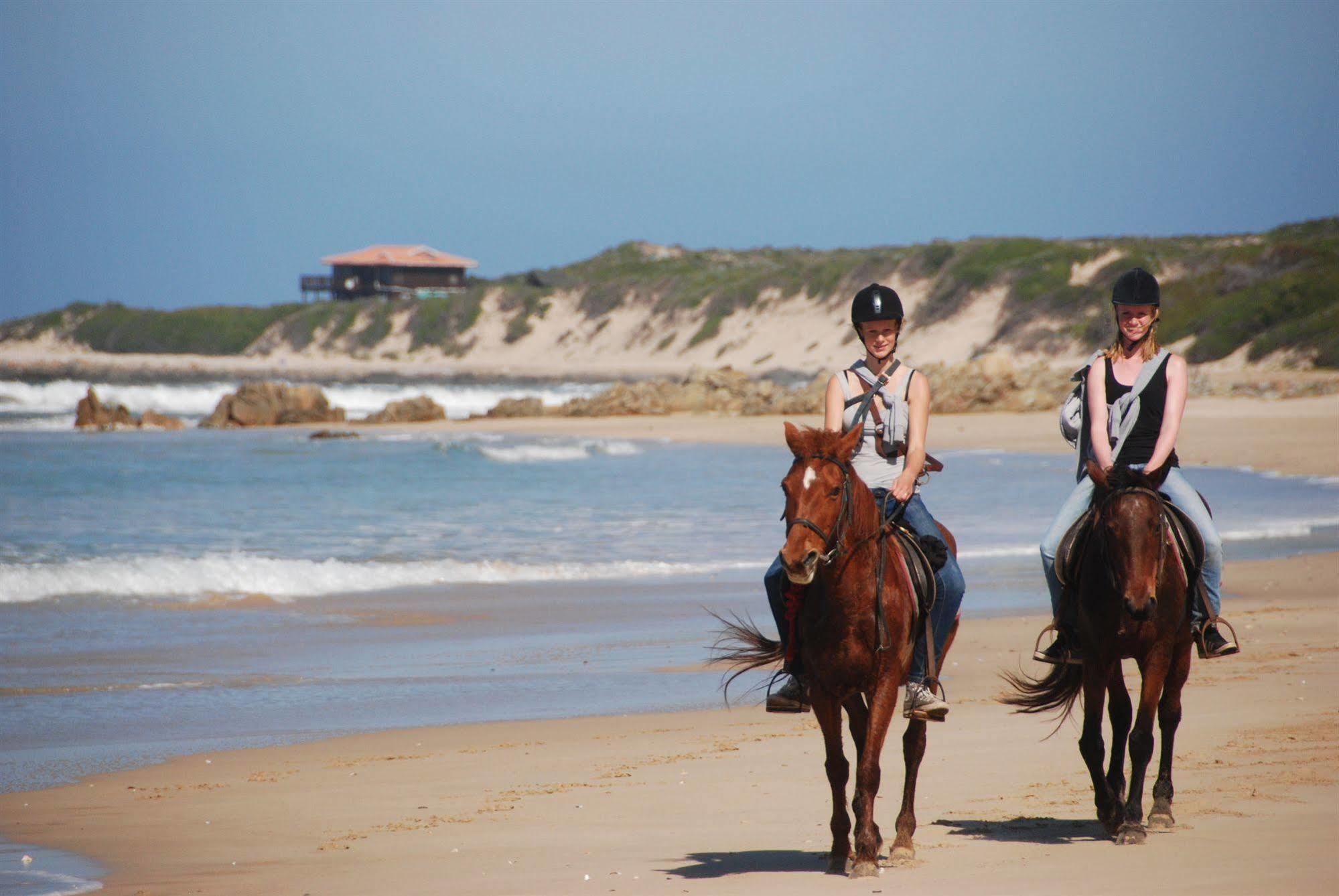 Oyster Bay Lodge Esterno foto